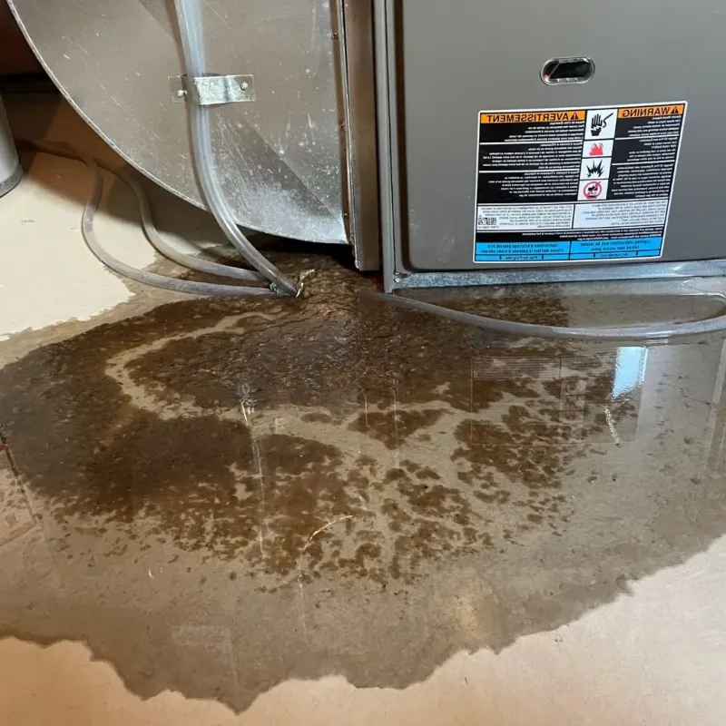 Pipe Burst and Leak Restoration in White County, TN
